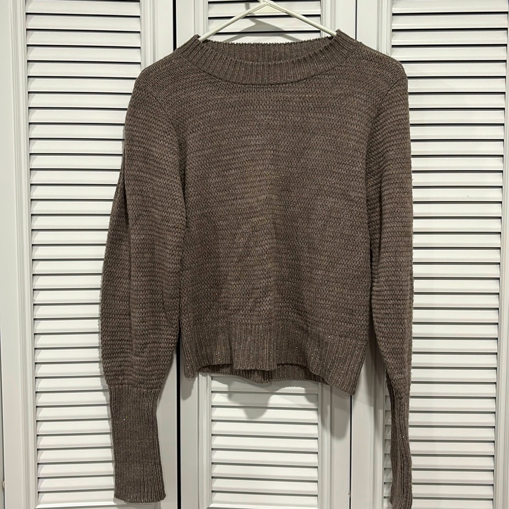 Women’s size medium Express tan with glitter sweater.
